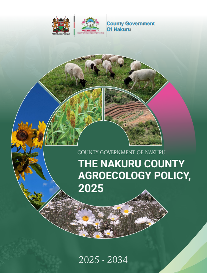 Screenshot 2026-01-21 141609