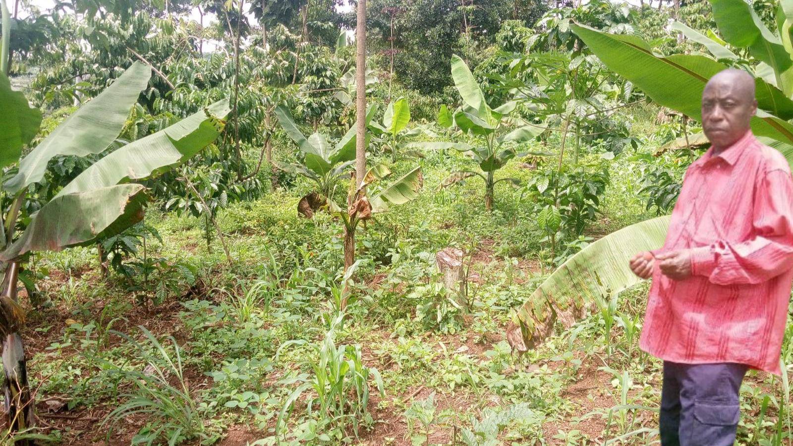 signal-2025-12-04-172439_002