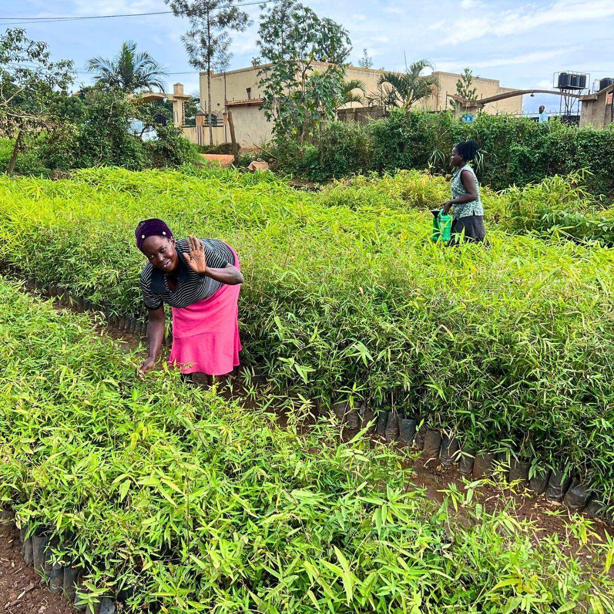 signal-2025-12-10-193548 (1)