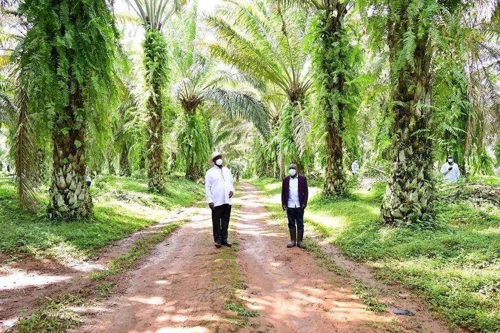 signal-2025-12-17-192309 (1)