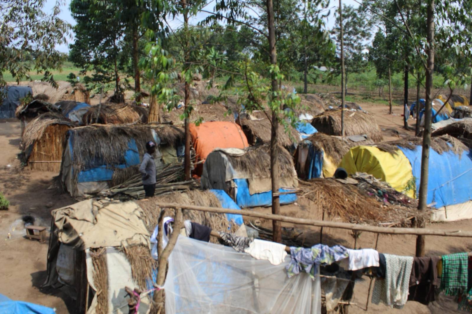 signal-2026-01-28-185547