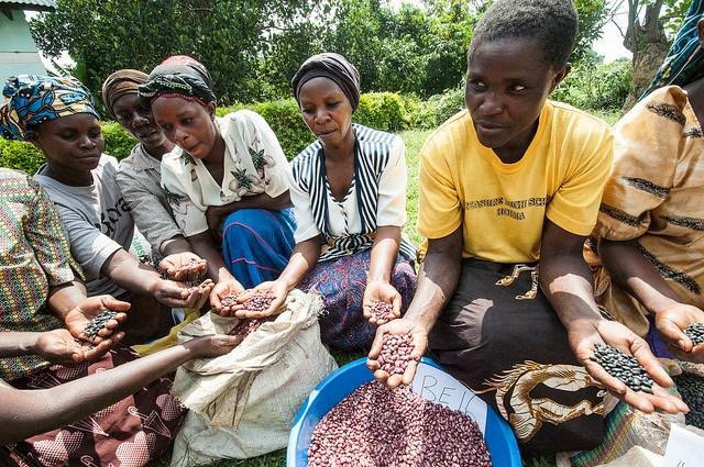 signal-2026-02-04-120719-1