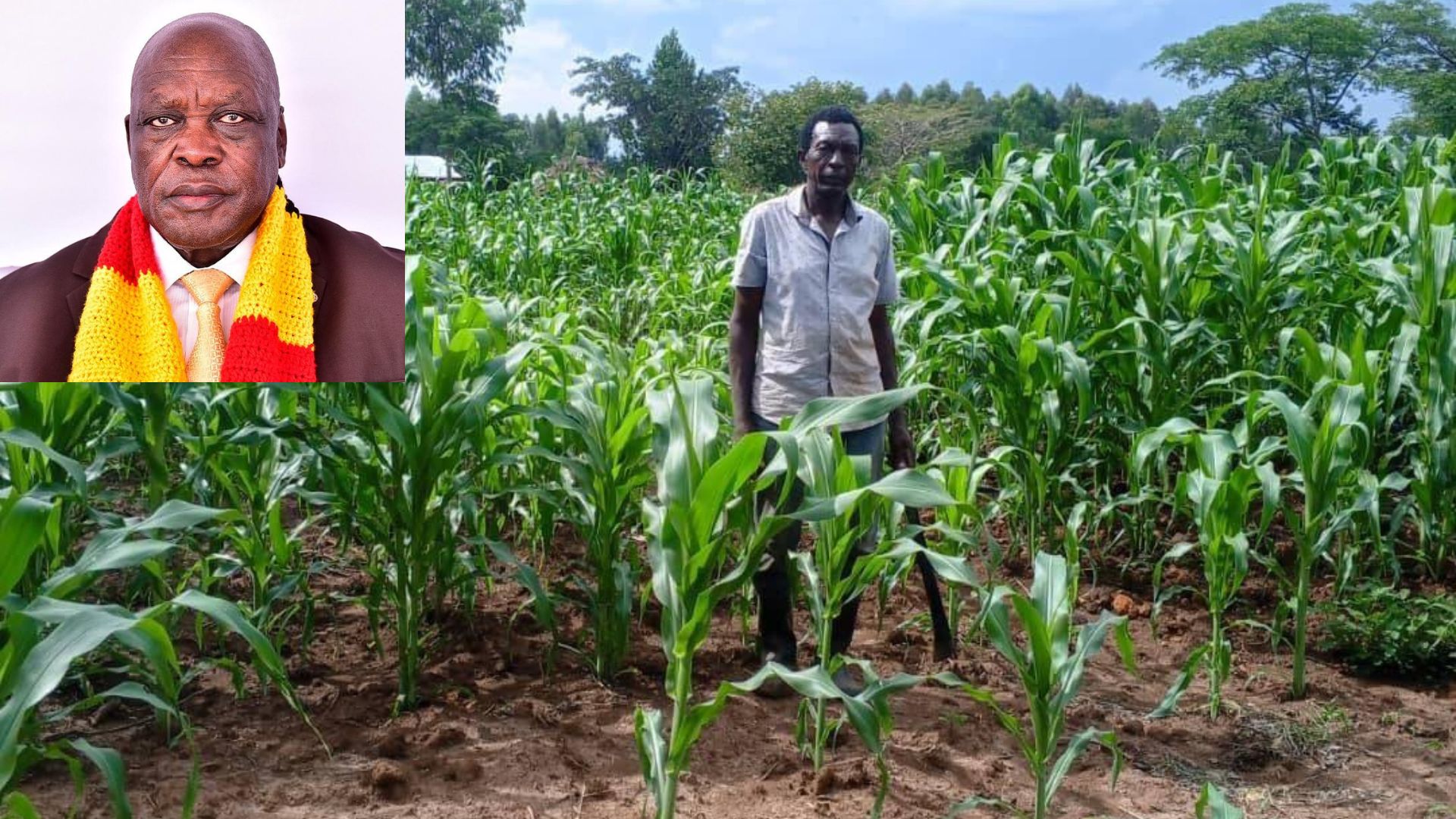 A Ugandan minister is in the hot seat over the grabbing of land from a peasant in Kiryandongo district.