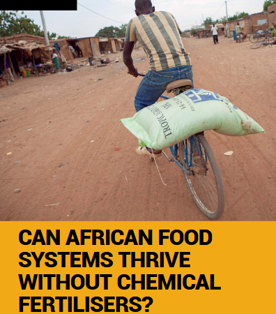 Rising fertilizer dependence sparks debate over Africa’s agricultural future; experts call for urgent critical review process.