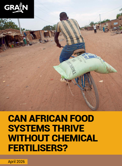 Rising fertilizer dependence sparks debate over Africa’s agricultural future; experts call for urgent critical review process.