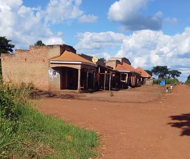 More than 500 Masindi residents live in fear as a tycoon targets their land.