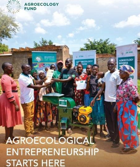 Agroecological Entrepreneurship: African farmers are redefining agriculture by building agroecological businesses that challenge industrial models.