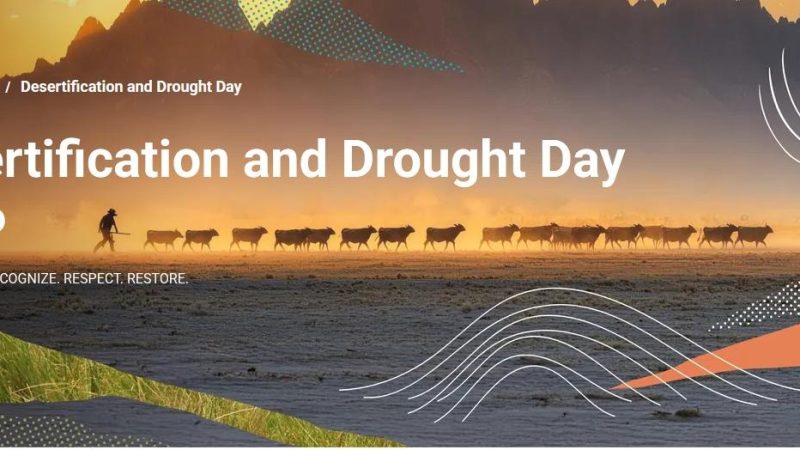 World leaders are urging support for pastoral mobility as a crucial strategy to sustain rangelands and address intensifying challenges from climate change and land pressures.