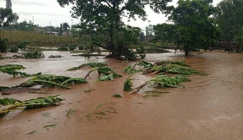 Breaking: El Niño looms over East Africa and Asia, bringing the specter of floods and disease outbreaks.