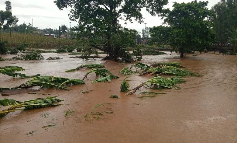 Breaking: El Niño looms over East Africa and Asia, bringing the specter of floods and disease outbreaks.