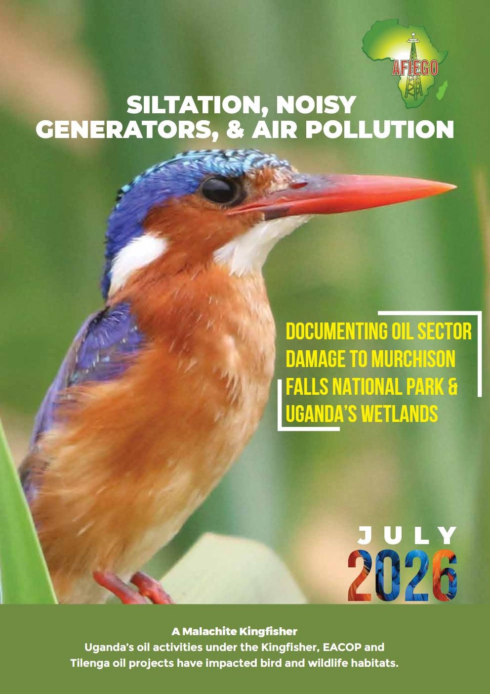 Researchers sound the alarm: Uganda’s oil development threatens the nation’s vital wetlands.
