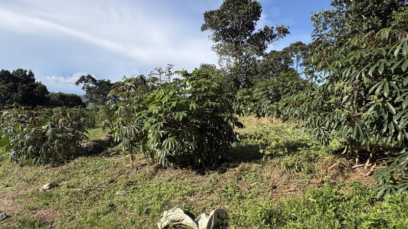 Experts rally the region to unite behind East Africa’s transformative Agroecology Bill.