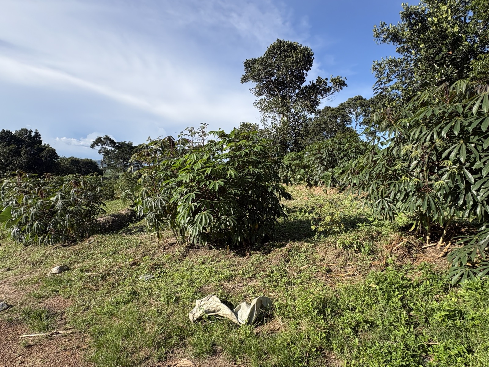 Experts rally the region to unite behind East Africa’s transformative Agroecology Bill.