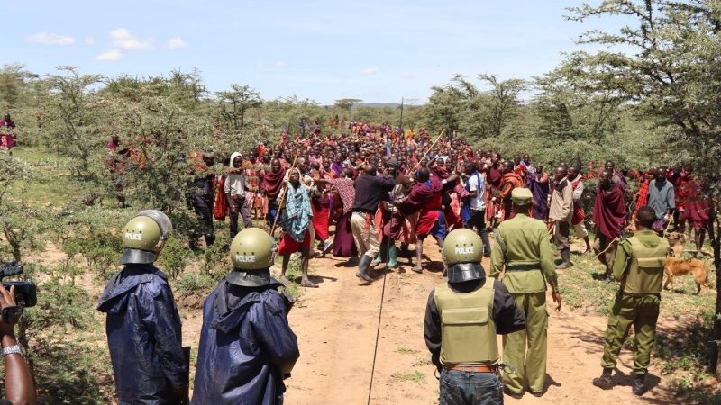 Tanzania’s surge in conservation investments is under the UN spotlight, as allegations of indigenous land rights violations prompt an urgent call for the government to stop the evictions at once.