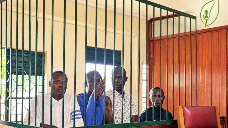 After weeks behind bars, six anti-oil activists have been granted cash bail by the LDC Court.