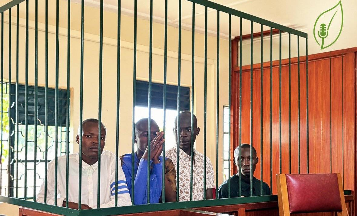 After weeks behind bars, six anti-oil activists have been granted cash bail by the LDC Court.