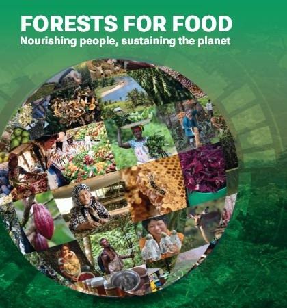 While hunger continues to grip the world, a new report highlights forests and forest foods as a hidden treasure trove of nourishment.