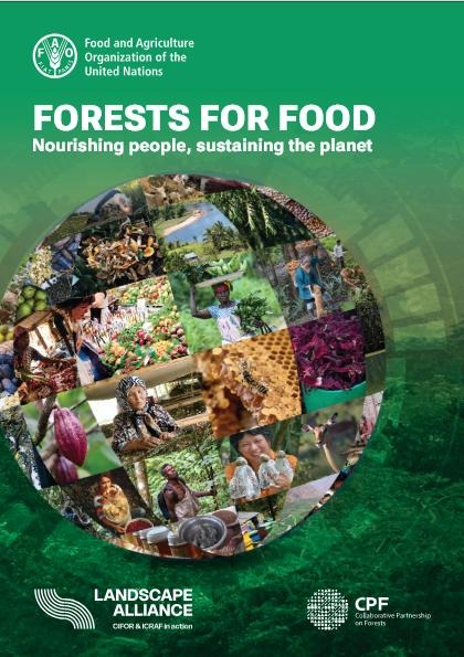 While hunger continues to grip the world, a new report highlights forests and forest foods as a hidden treasure trove of nourishment.