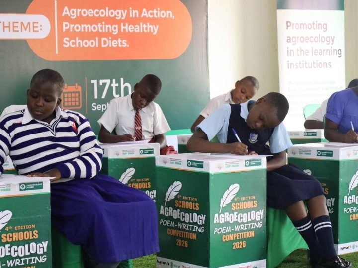 Young people and agriculture: Step into the world of Ugandan NGO ESAFF, where a new generation in schools is being inspired to reimagine farming, celebrate wholesome food, and become passionate advocates for food sovereignty.