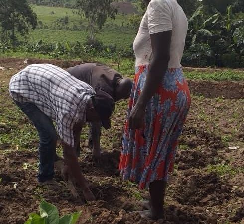Who will shape the future of East Africa’s seeds? Youth and civil society are sounding the alarm over a proposed regional law.