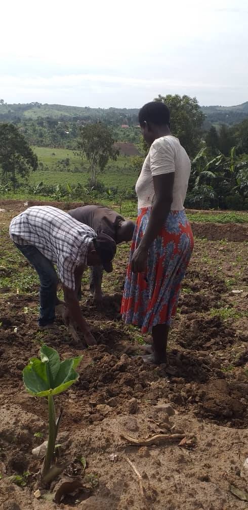 Who will shape the future of East Africa’s seeds? Youth and civil society are sounding the alarm over a proposed regional law.