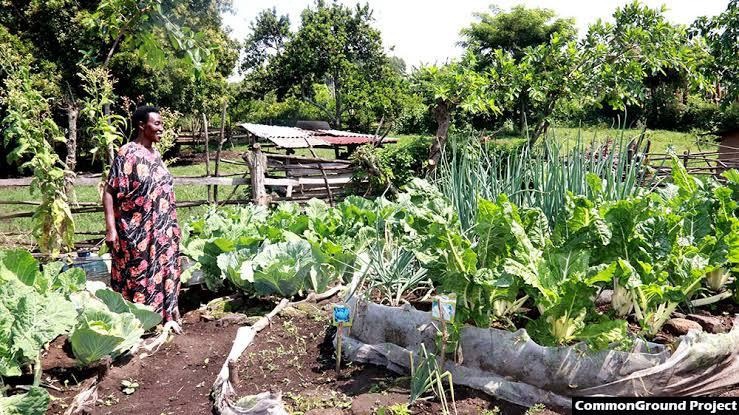 World Food Day 2026: Building healthy diets means reimagining how we grow, share, and enjoy our food.