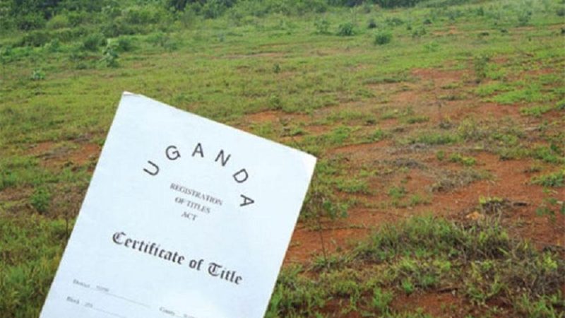 Why are secure land rights key to Africa’s climate resilience and the protection of its natural treasures?