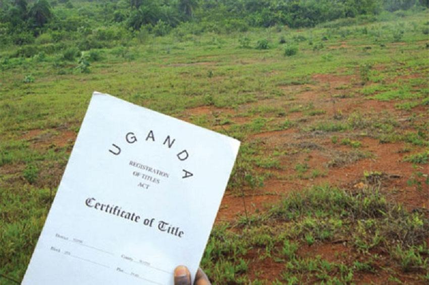 Why are secure land rights key to Africa’s climate resilience and the protection of its natural treasures?