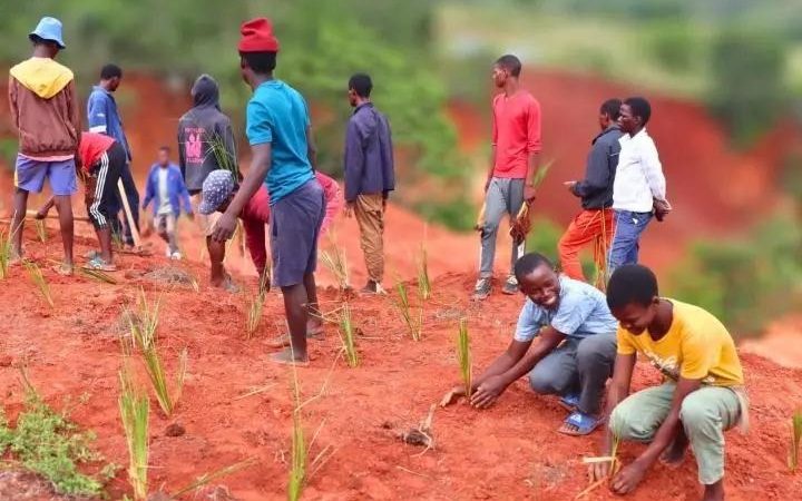 From grassroots action to policy transformation: How local environmental solutions spark enduring change.