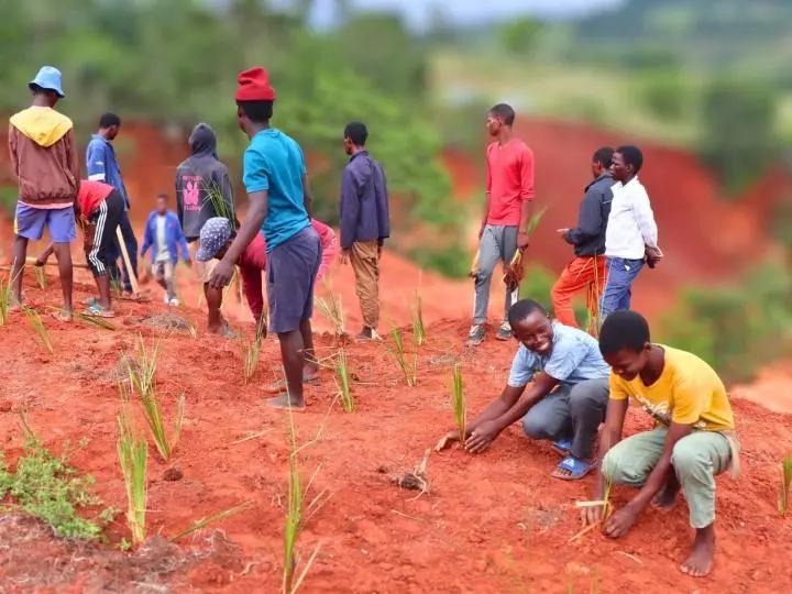 From grassroots action to policy transformation: How local environmental solutions spark enduring change.
